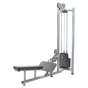 Matrix Magnum Free-standing Low Row
