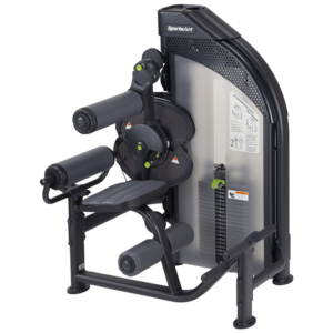 SportsArt DF-306 Back Extension/Ab Crunch